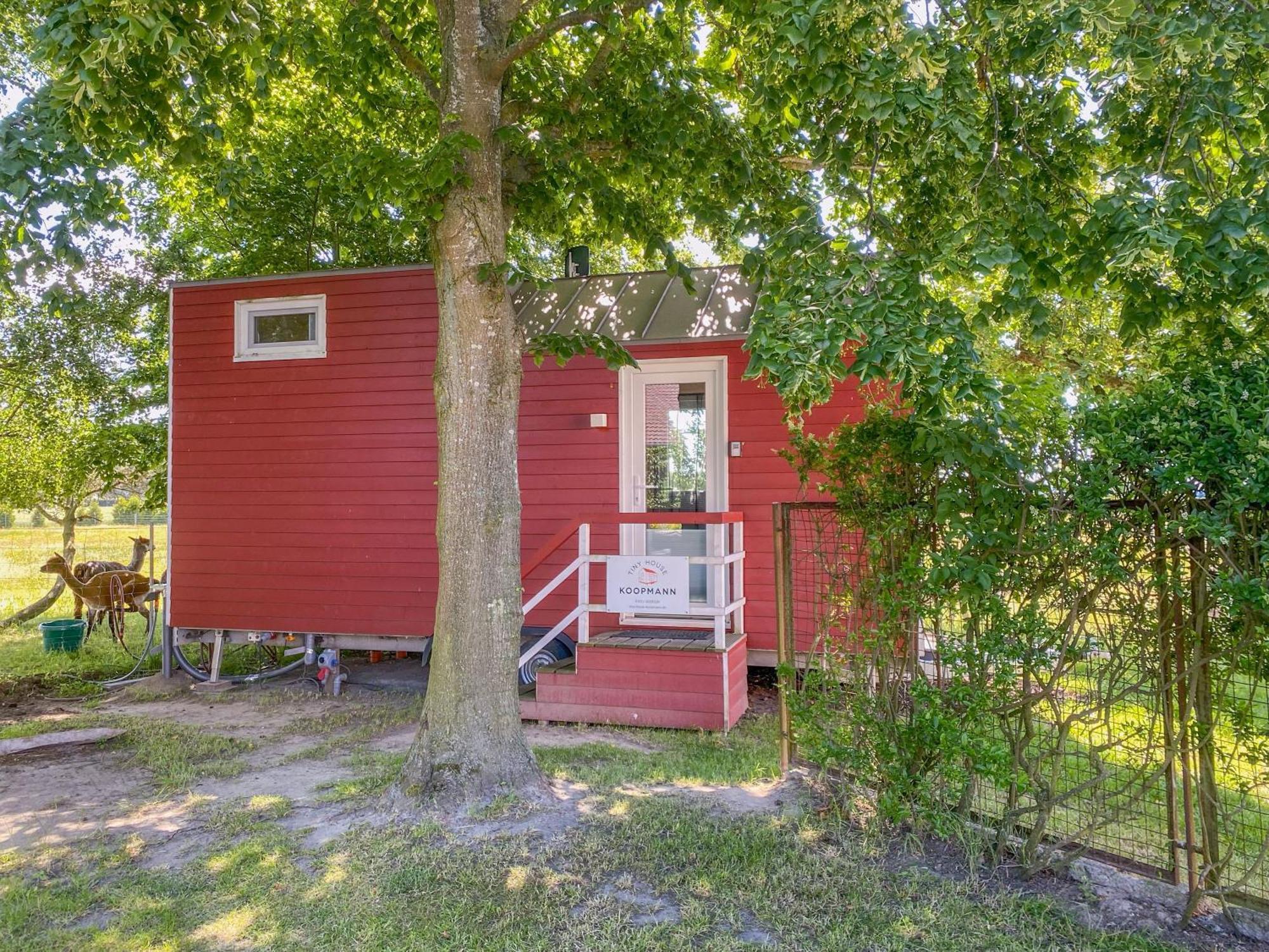 Tiny House Auf Der Alpaka Farm Villa Rubkow Exterior photo